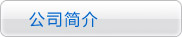 公司介绍