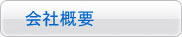 公司介绍