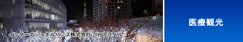 日本国内游