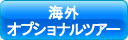 海外オプショナルツアー